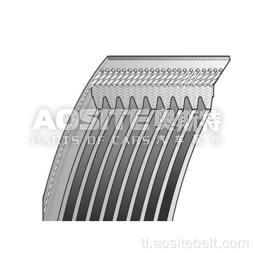 V-Rbbed Belt para sa DAF CF 85